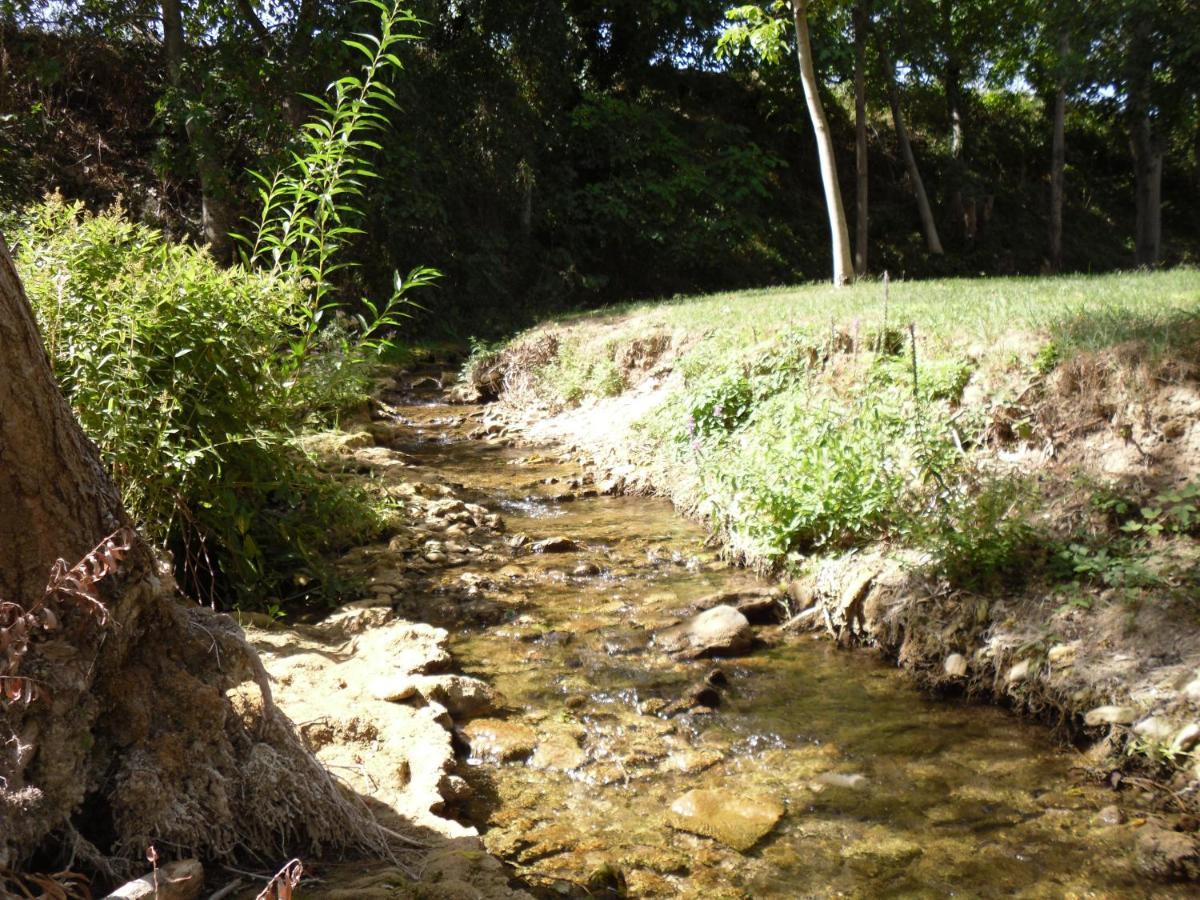 Abarzuza Casa Rural Laguao מראה חיצוני תמונה